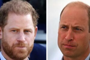 উইলিয়াম, হ্যারি